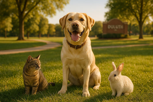 Dogs' N Friends launches platform for pet owners in Duluth, Georgia