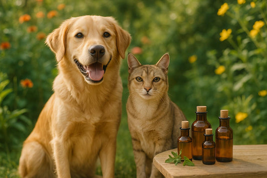 Natural Flea and Tick Remedy Generator